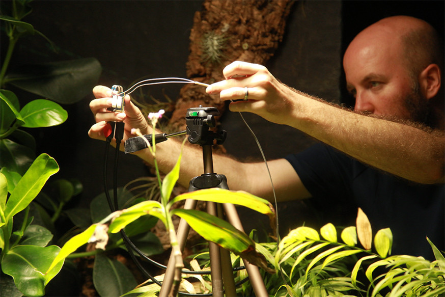 Eerste plantaangedreven camera maakt selfies
