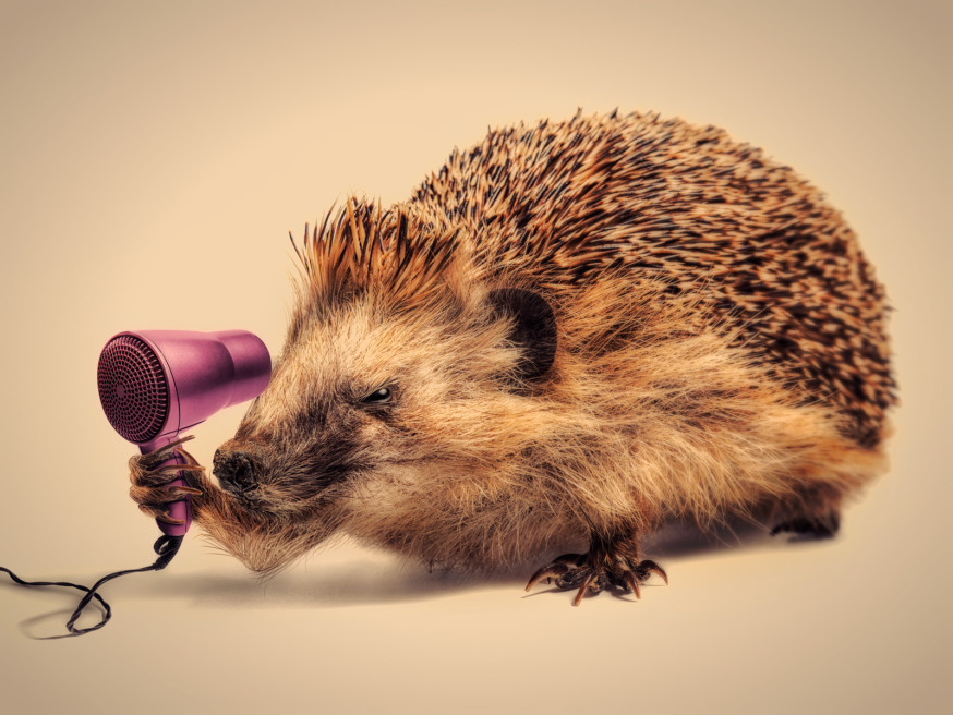 Foto: Sjoerd Stellingwerf