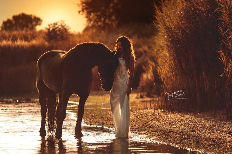 fotofair 2021, fotofair, masterclass paardenfotografie, masterclass, paardenfotografie, paarden, fotograferen, leren