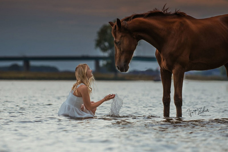 fotofair 2021, fotofair, masterclass paardenfotografie, masterclass, paardenfotografie, paarden, fotograferen, leren