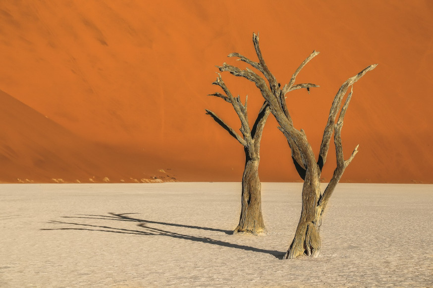 lezersfoto spotlight ivo mostert