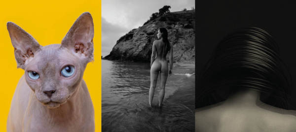 ©Fleur Huijsdens, ©Eric van den Elsen en ©Jonas Bjerre Poulsen