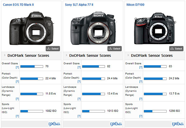 Canon EOS 7D Mark II vs Sony A77 II vs Nikon D7100
