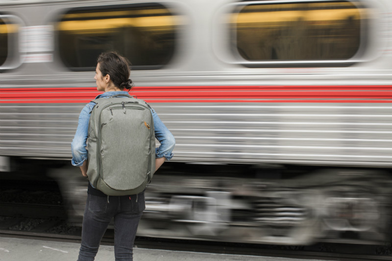 Peak Design 'Travel Line' 