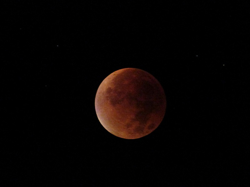 Bloedmaan