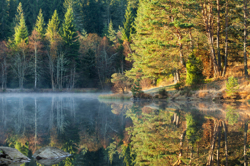 Herfst in Auvergne