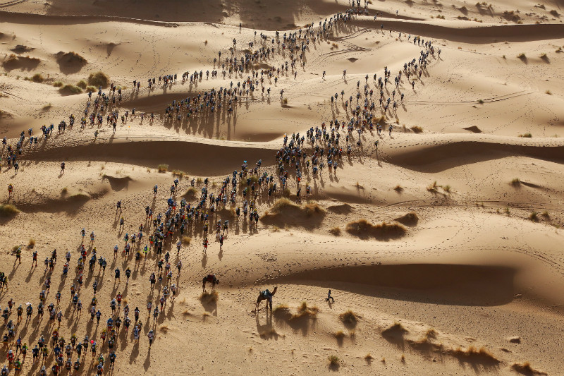 World Press Photo 