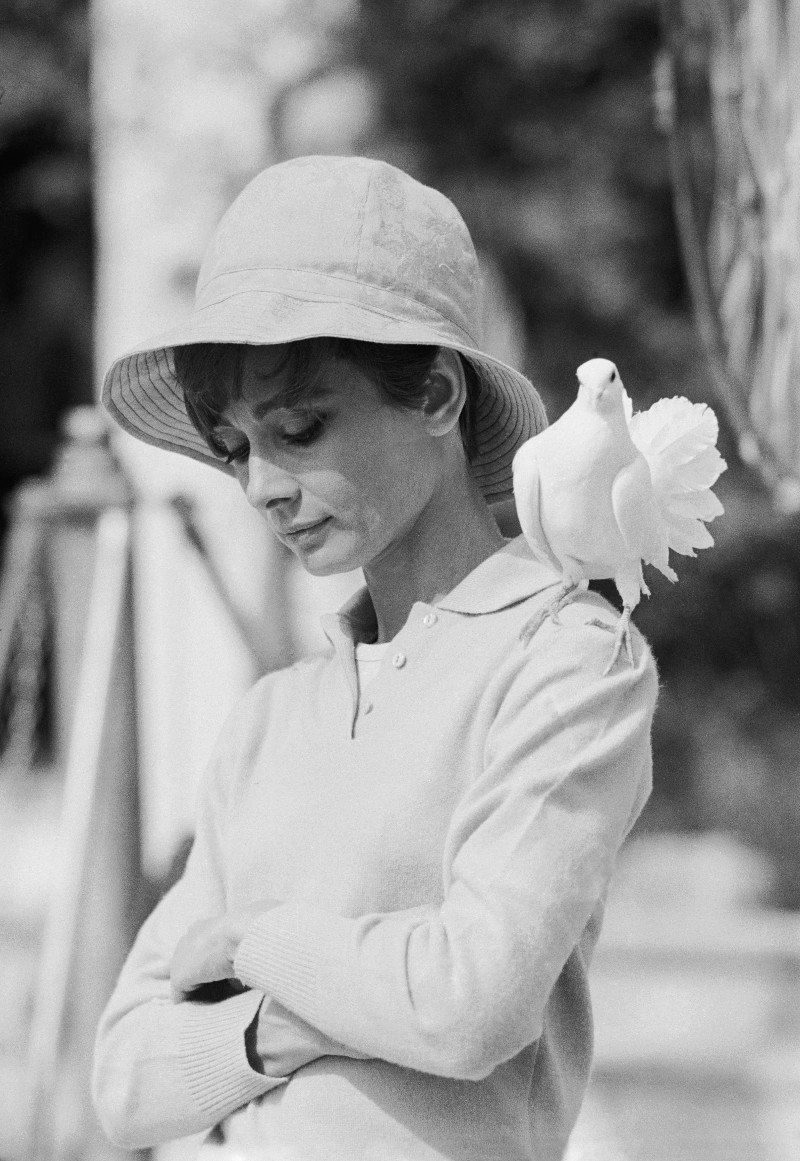 Terry O’Neill