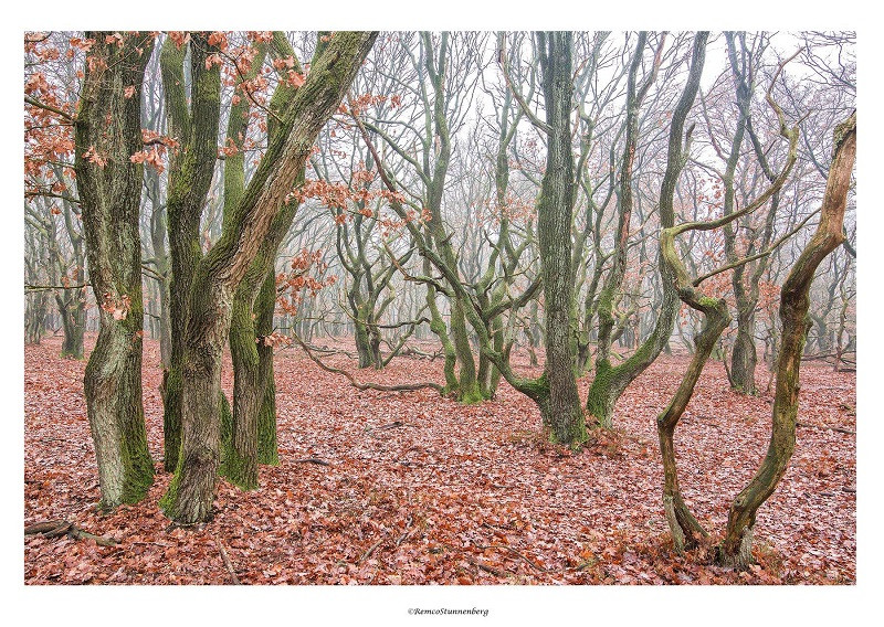 Tokina AT-X 16-28mm f/2.8 Pro FX 