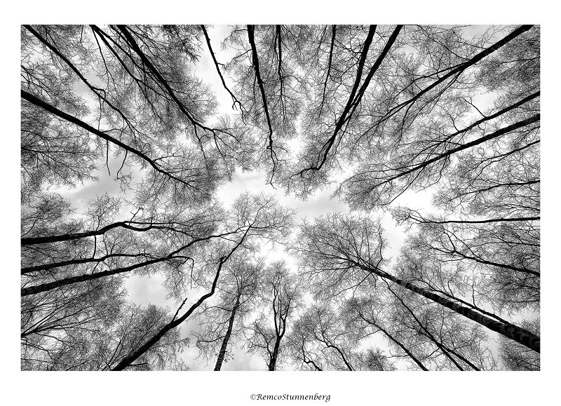  Tokina AT-X 16-28mm f/2.8 Pro FX