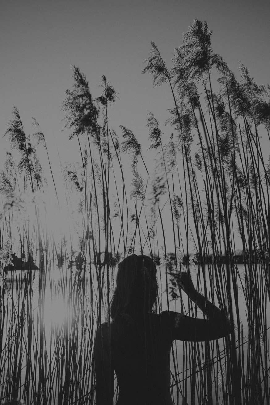 Ilse Wolf