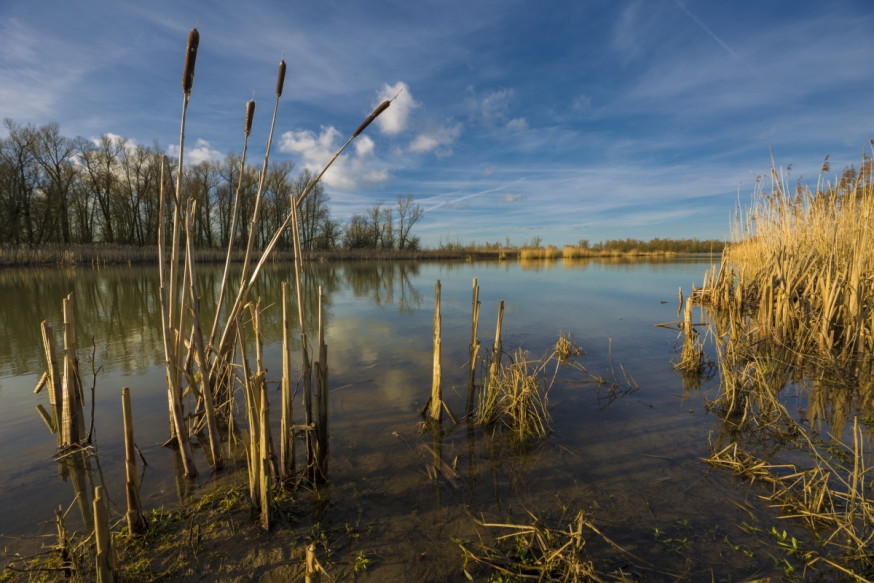 Review: 14-24mm F2.8 DG HSM Art © Richard Verroen