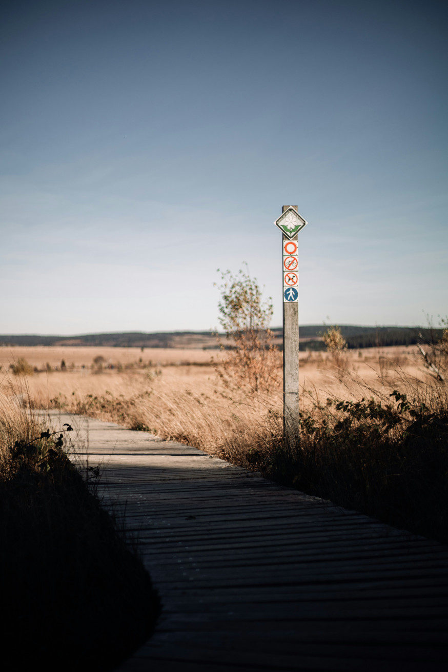 Hautes Fagnes