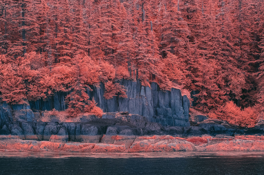 Alaska in infrarood - Bradley G Munkowitz