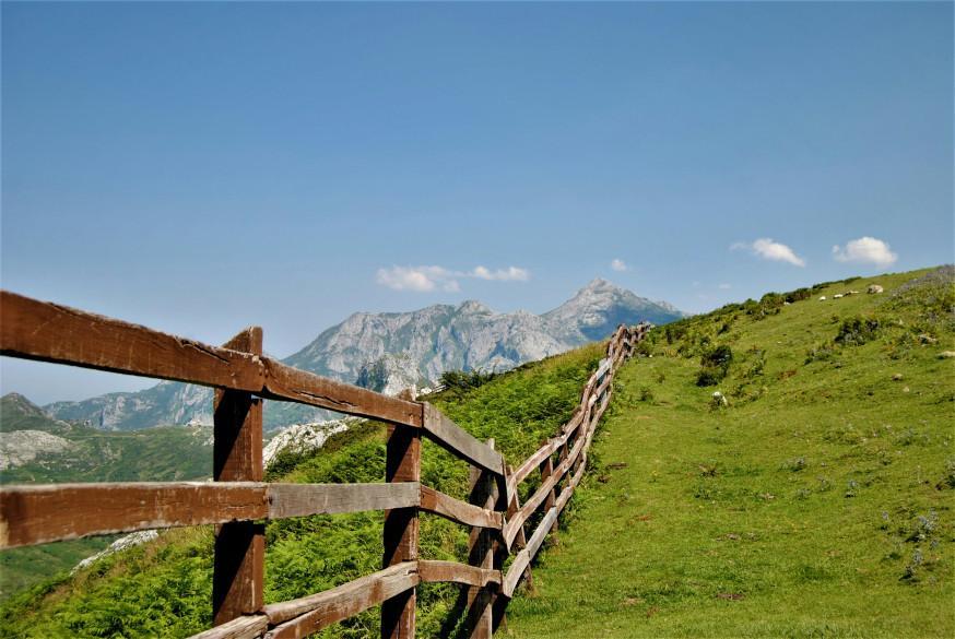 Picos de Europa