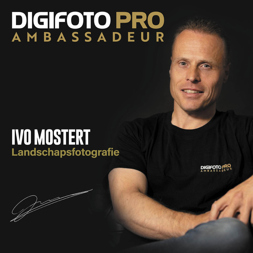 Minimalisme in Landschapsfotografie: Rust in de chaos van het bos