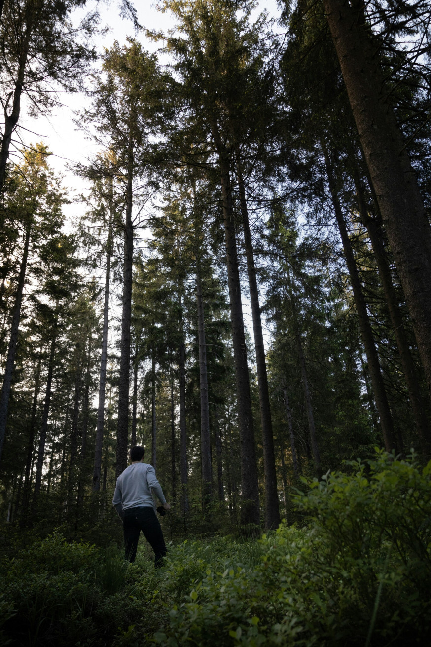natuurfotografie België