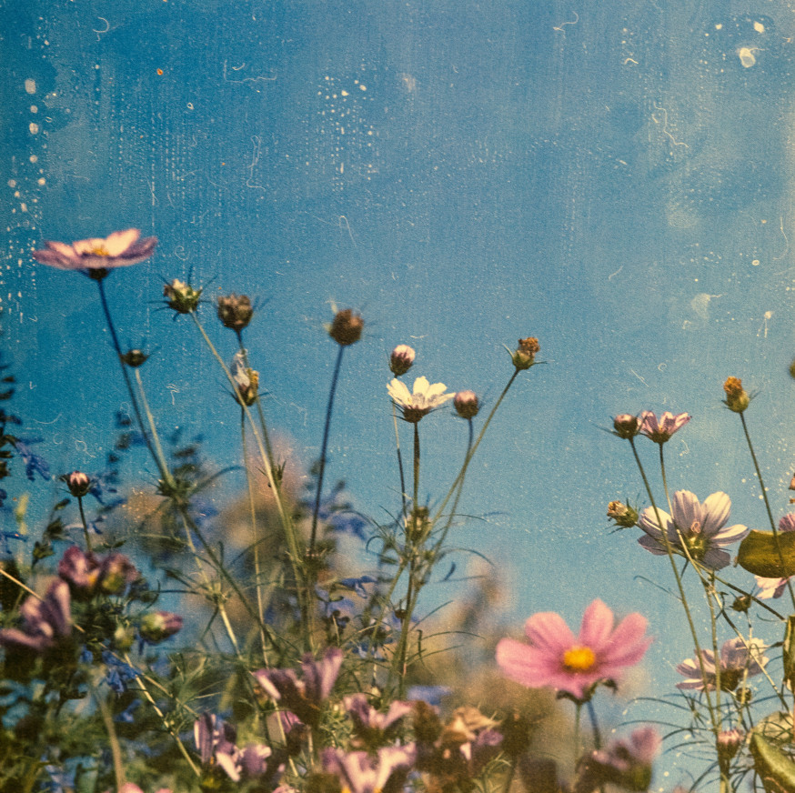 analoge fotografie