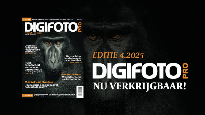 Cover Digifotopro 4 2025
