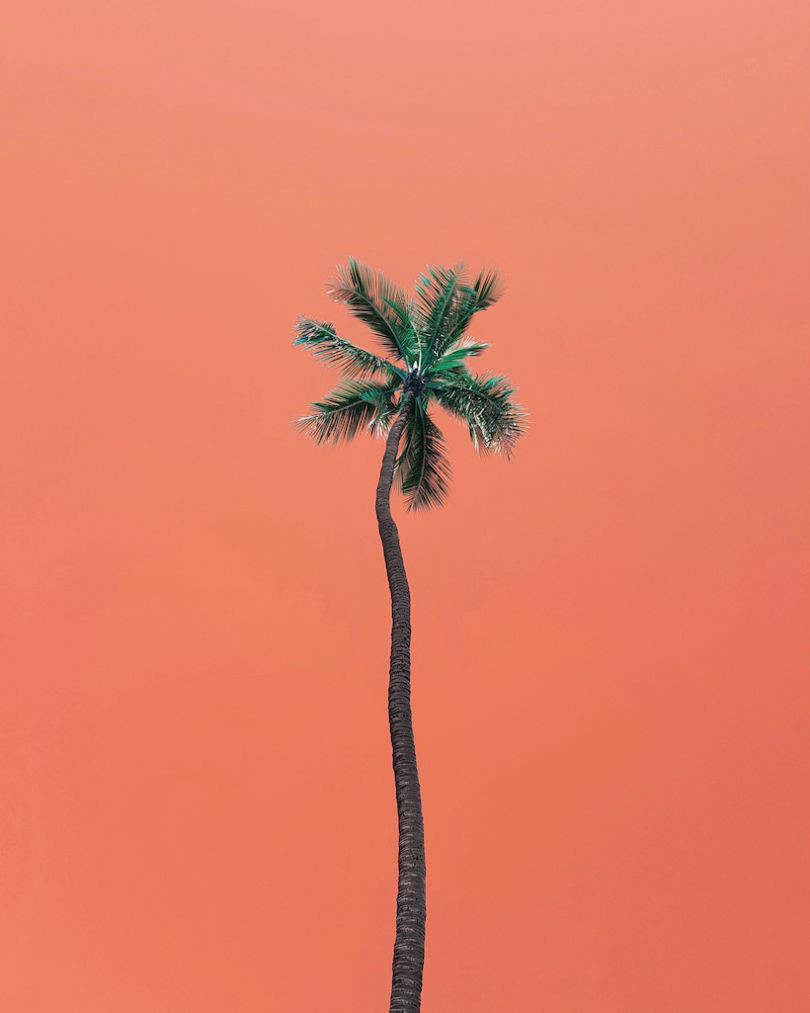 Artistieke kijk op het leven in Hawaï