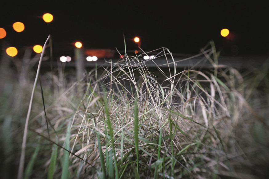 Review / Lensbaby Trio 28