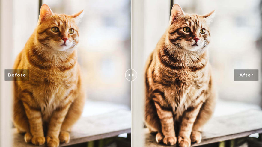 lightroom