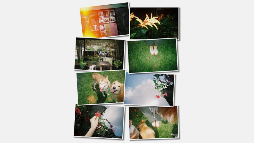 yashica film