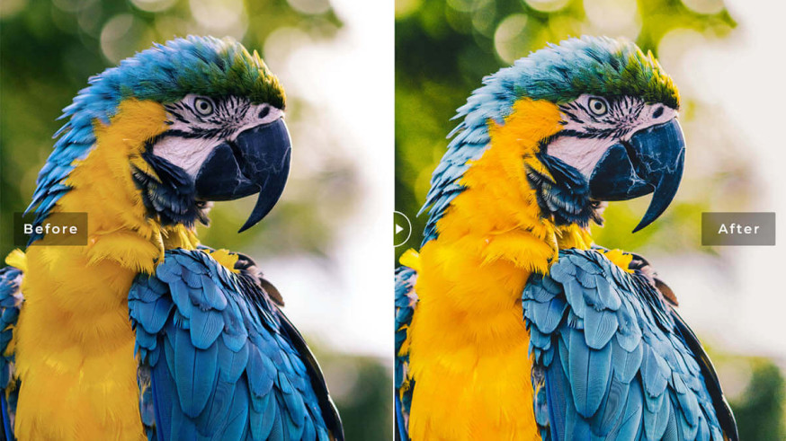 lightroom