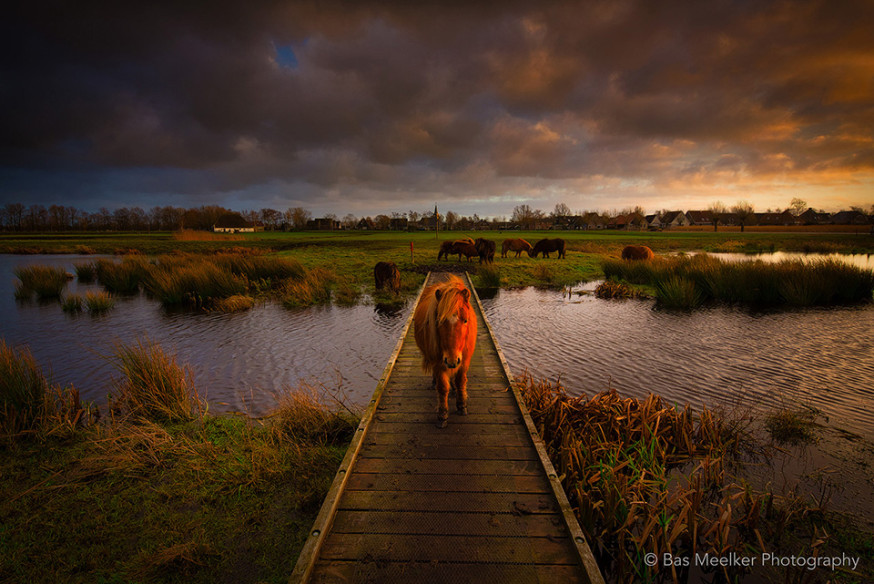 landschap door Bas Meelker