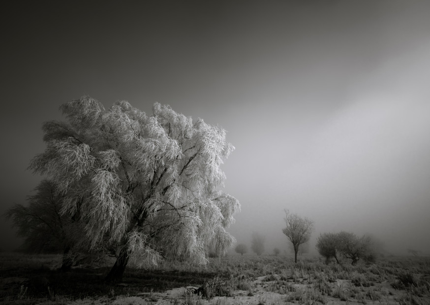 Bas Meelker landschapsfotografie