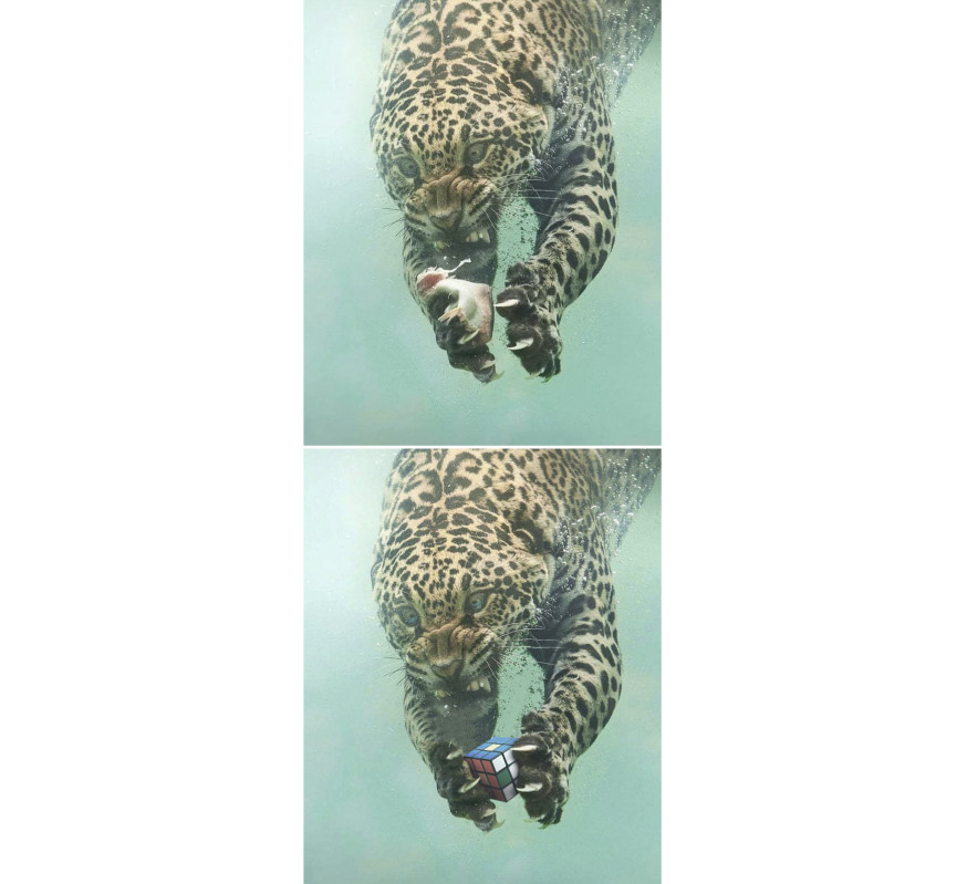 photoshop battles, photoshop, battle
