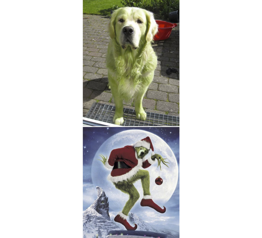 photoshop battles, photoshop, battle