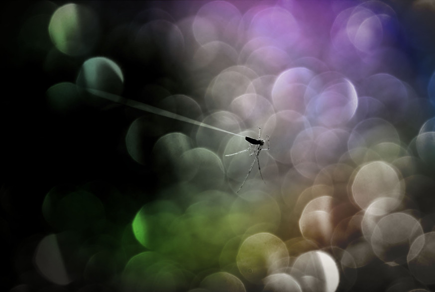 Foto: Annemieke Stuy