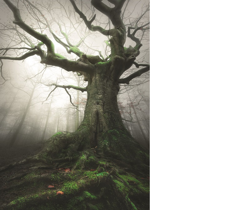 rob visser lezersfoto spotlight