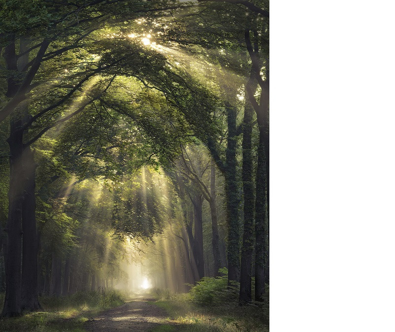 rob visser lezersfoto spotlight