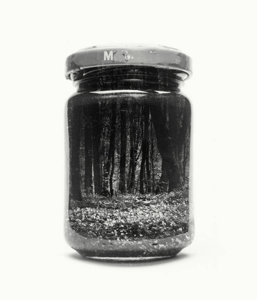 De wereld gevangen in een pot