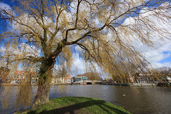 Canon EF 11-24mm f/4L USM - perspectief