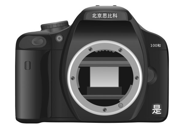 Chinese dslr