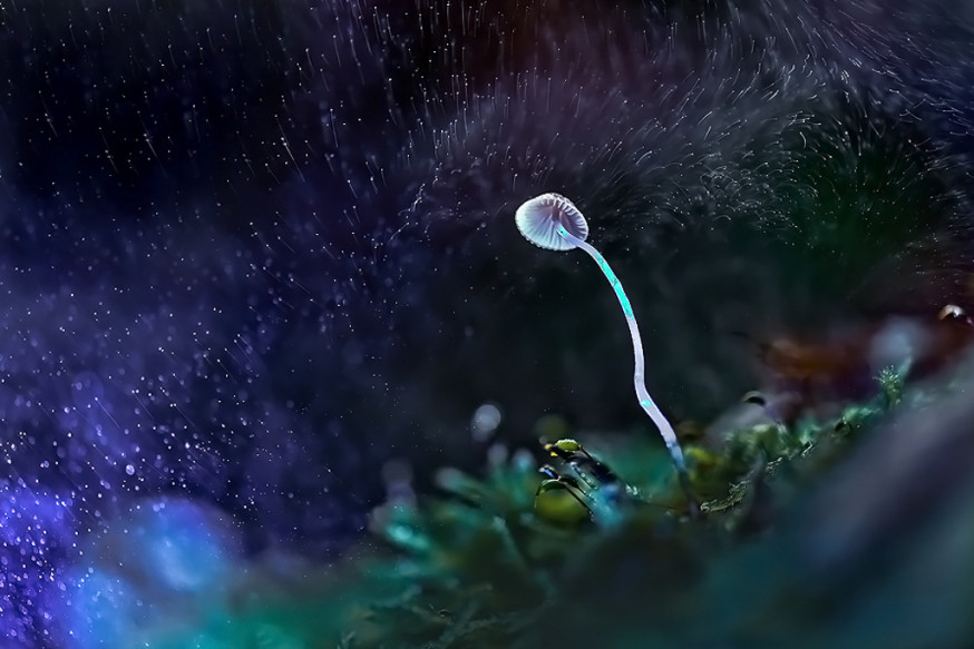 Foto: Chris Hornung