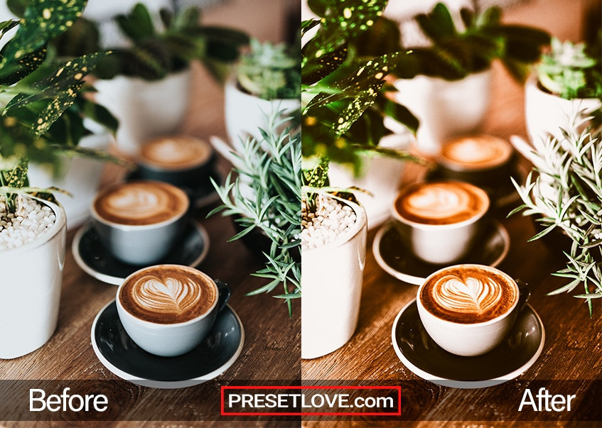 lightroom