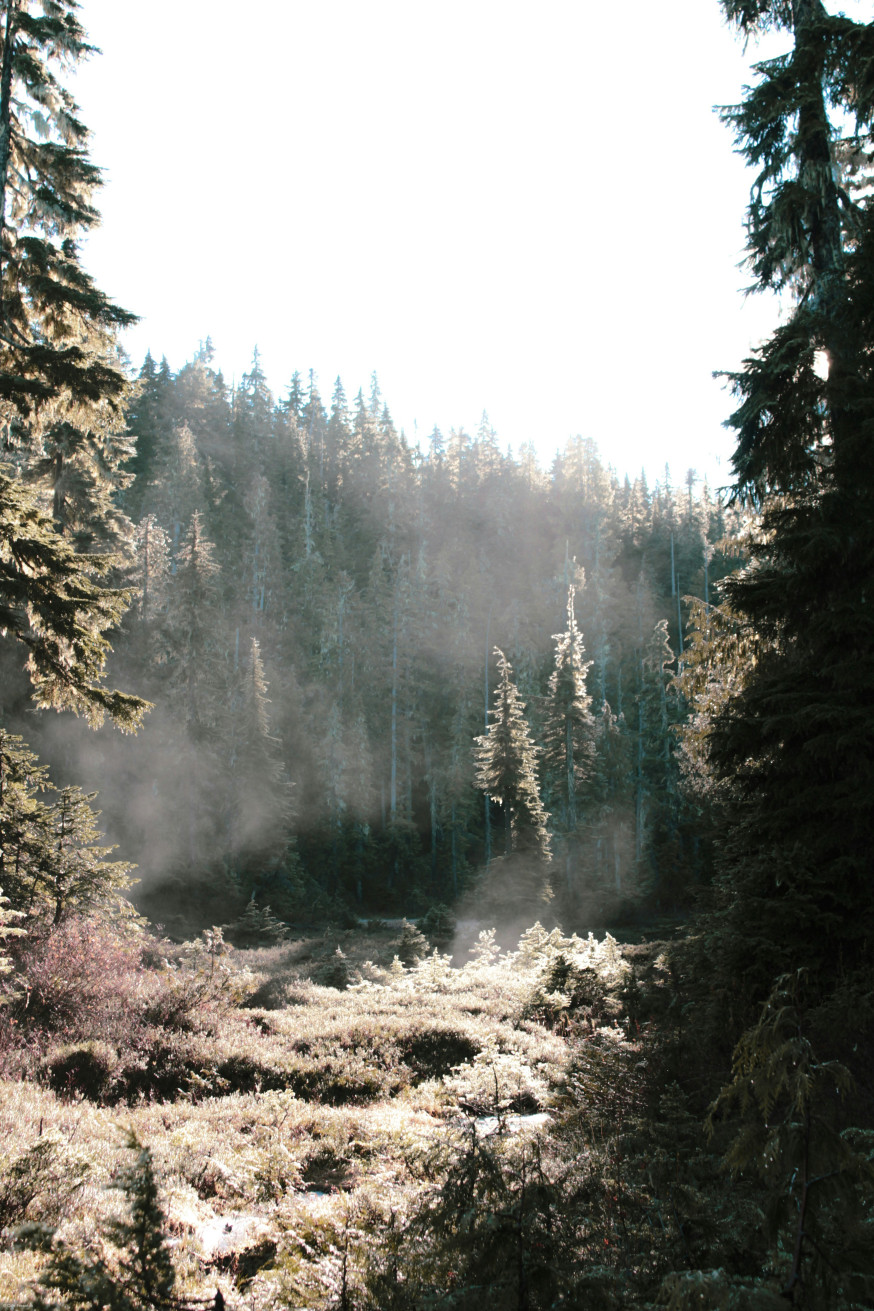 oerbossen Europa
