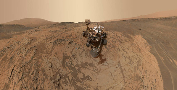 Curiosity - Selfie