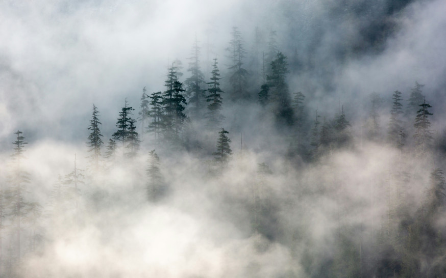 Rook en mist Photoshop