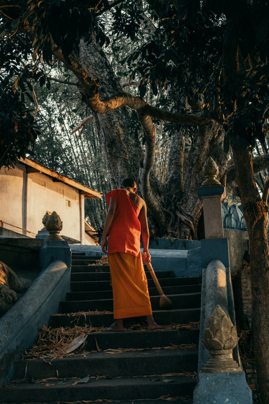 natuurfotografie Laos