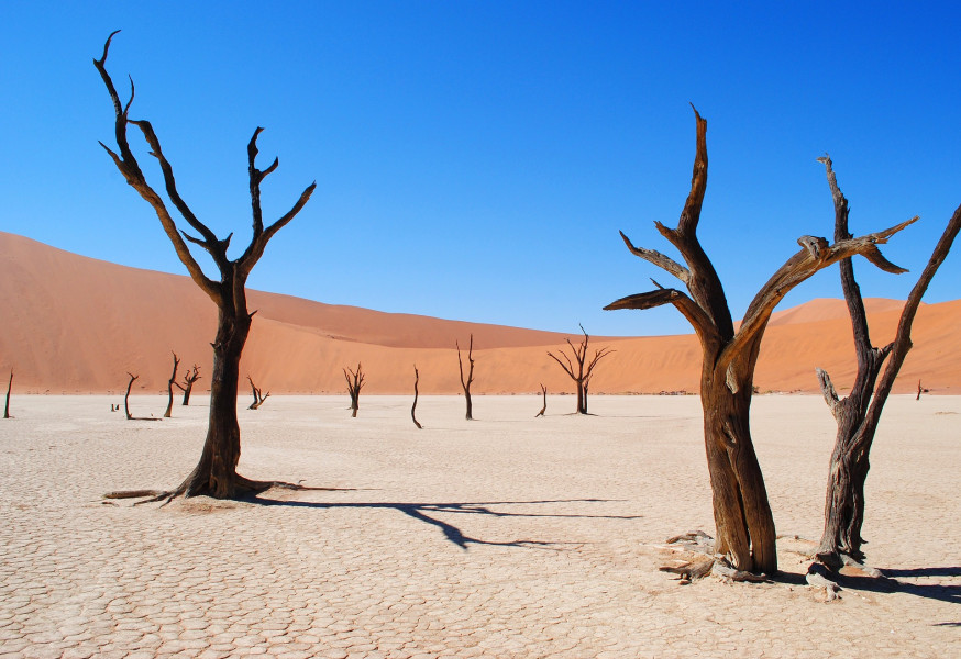 deadvlei fotolocatie