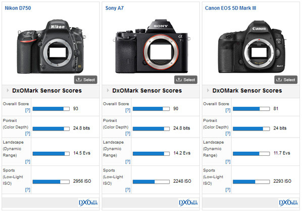 D750 vs A7 vs 5D Mark III