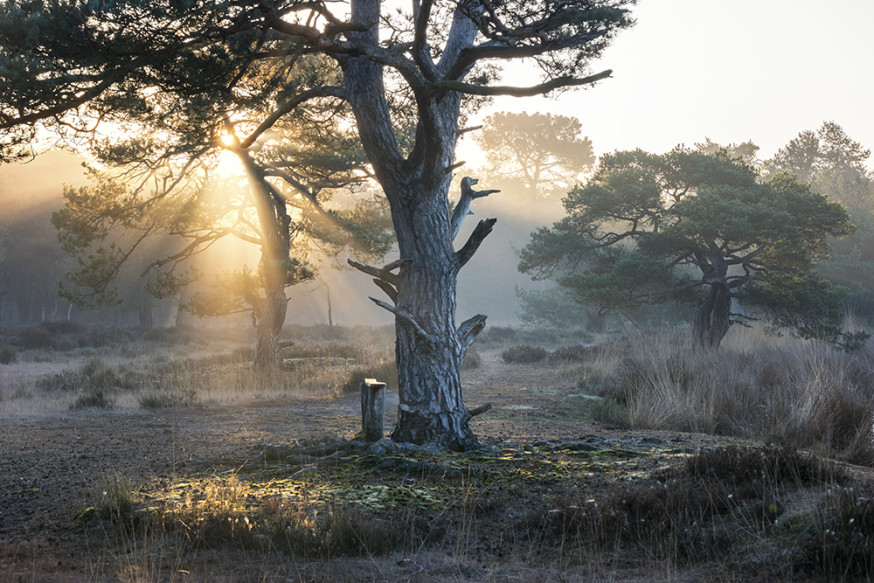 natuurfotografie locaties