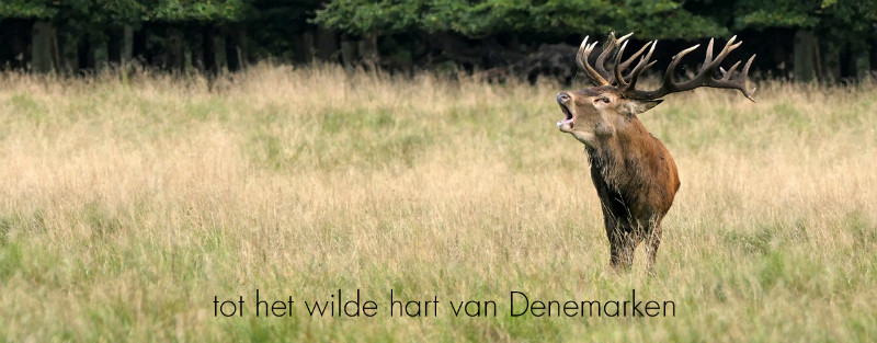 FOTOFAIR 2019 Masterclass: Natuurfotografie