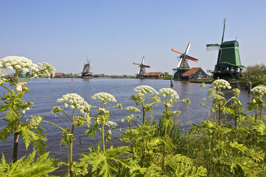 orginele vakantiefoto's