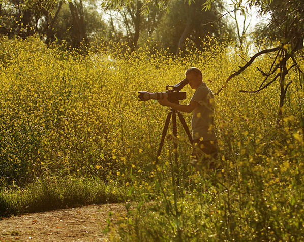 Sony NEX-FS700